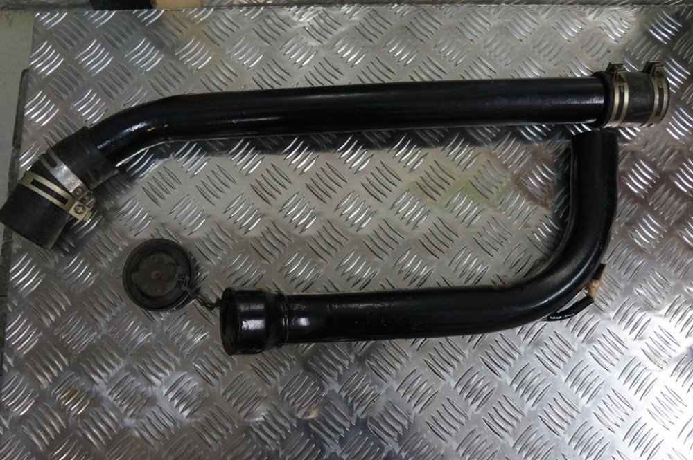 заливная горлов.jpg