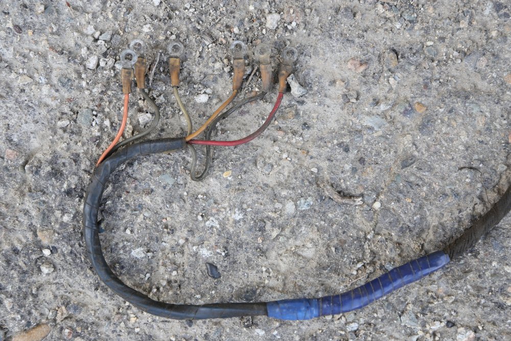 IMG_9761_новый размер.JPG