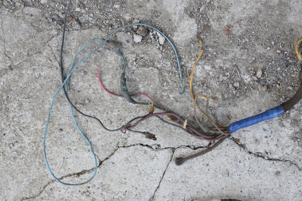 IMG_9762_новый размер.JPG