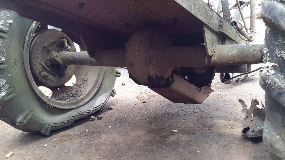 20180802_120307 (1).jpg