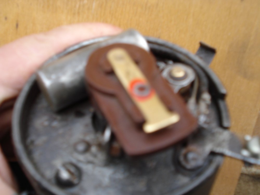 генетраб (1).jpg