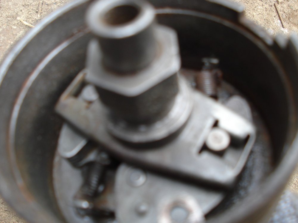 генетраб (8).jpg