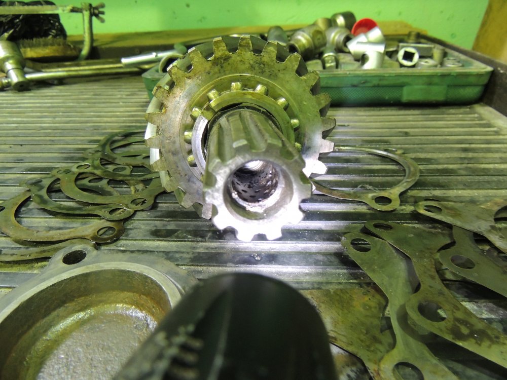 для кудряшка.JPG