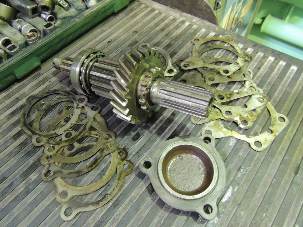 для кудряшка2.JPG