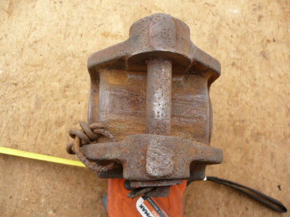 P1080882 (Medium).JPG