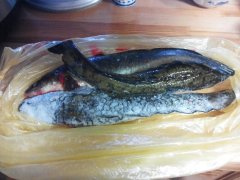 IMG_20190113_153935.jpg