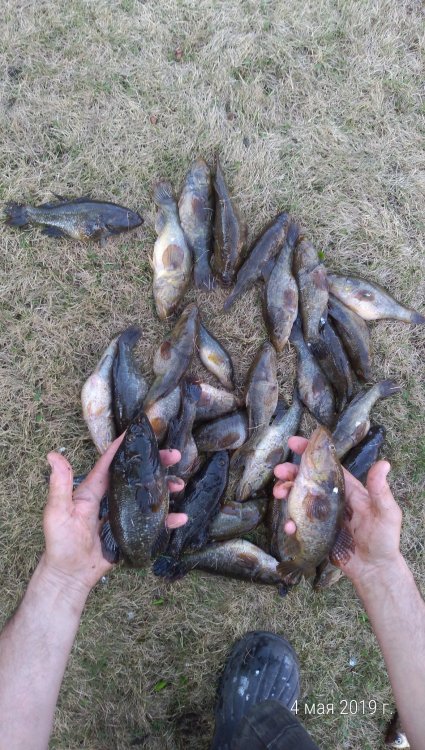 P_20190504_173534_p (1).jpg