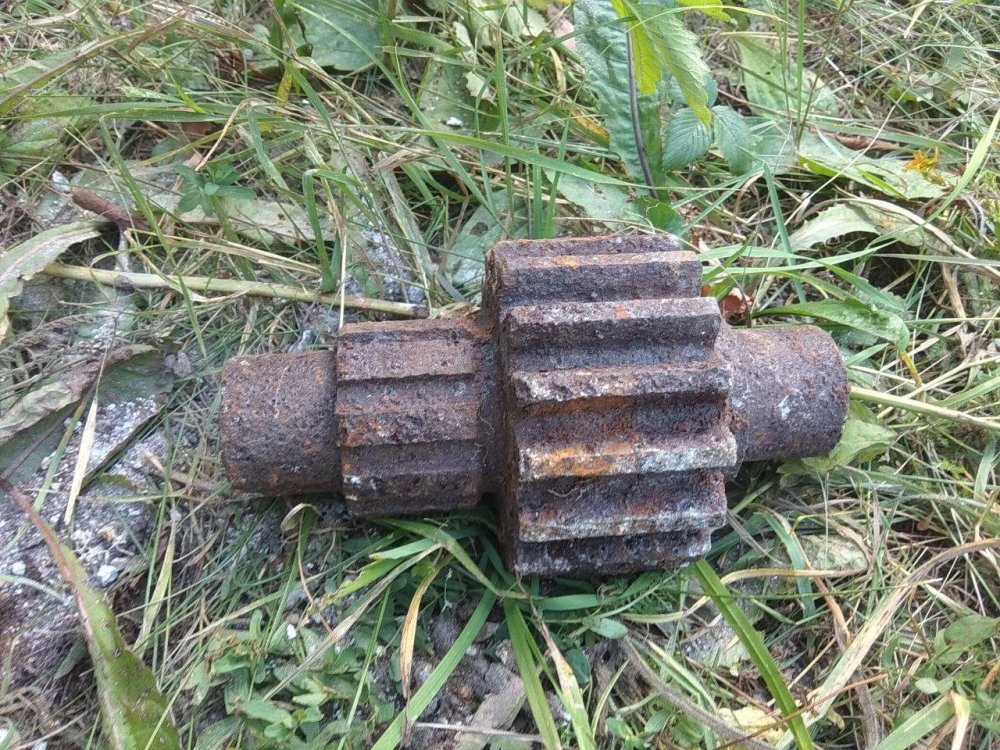 photo_2019-07-29_21-01-37 (2).jpg