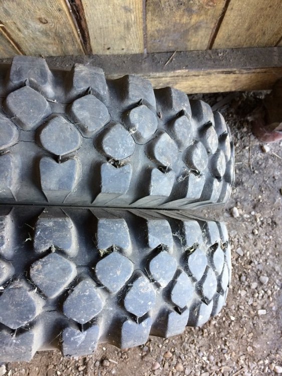 IMG_0717 - копия.JPG