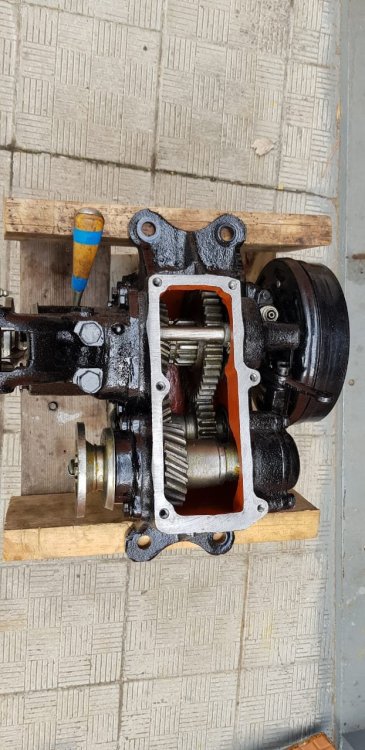 19-11-16 17-32-34 1351.jpg