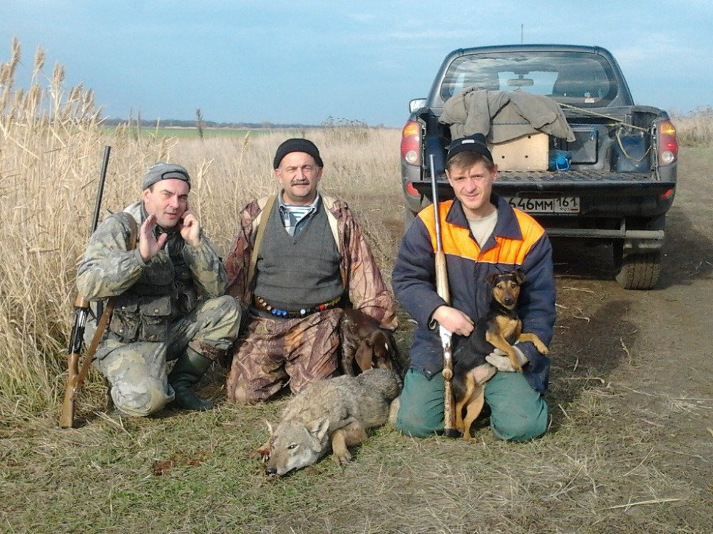 image-2019-11-28 20_31_37.jpg