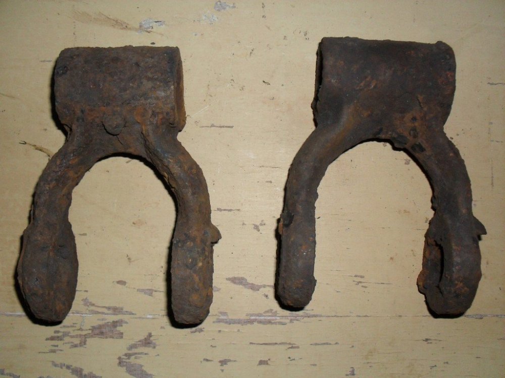 SDC11366 (Medium).JPG