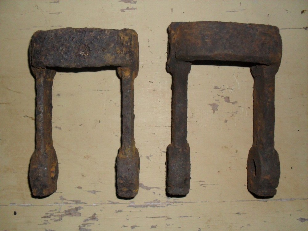 SDC11368 (Medium).JPG