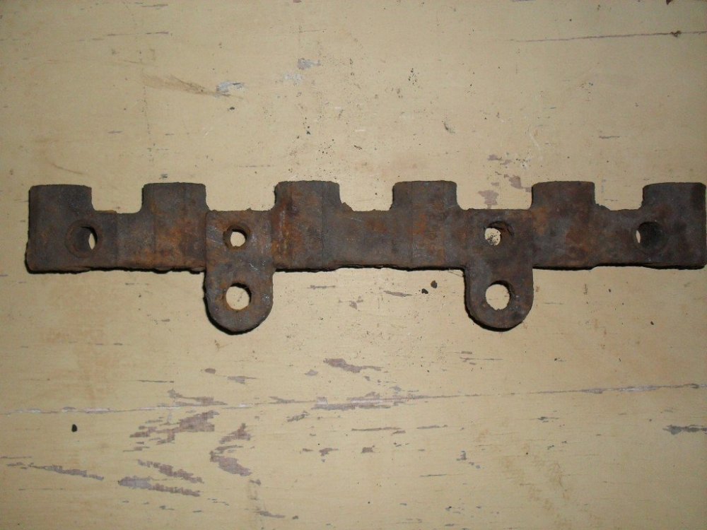 SDC11376 (Medium).JPG