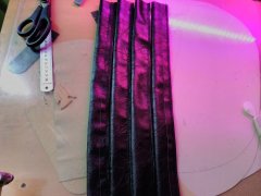 IMG_20191226_161836.jpg