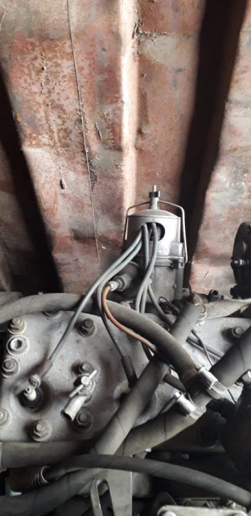 WhatsApp Image 2020-02-11 at 16.48.51.jpeg