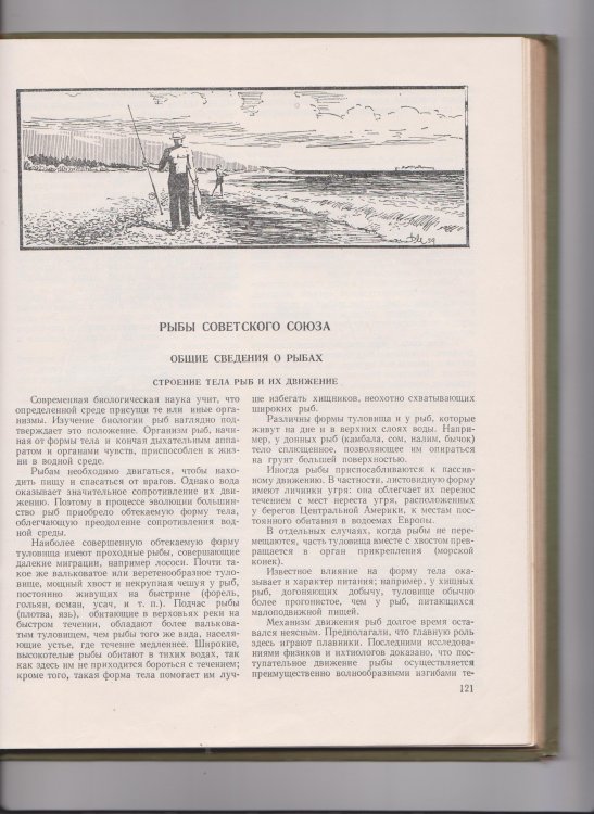 КНИГА 1.1 001.jpg