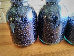 IMG_20200710_172659.jpg