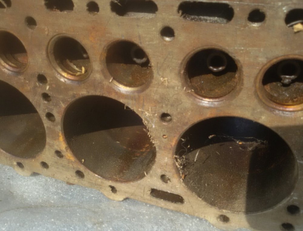 2020-09-29 15.08.59.jpg