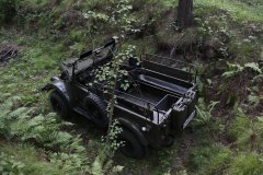 Колосок 141.JPG