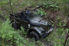 Колосок 146.JPG