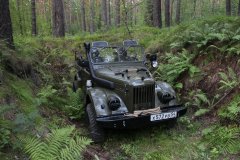 Колосок 148.JPG