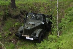 Колосок 128.JPG