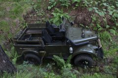 Колосок 144.JPG