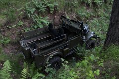 Колосок 143.JPG