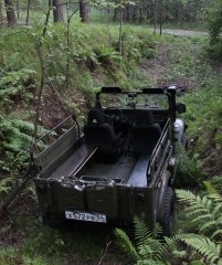 Колосок 138.JPG