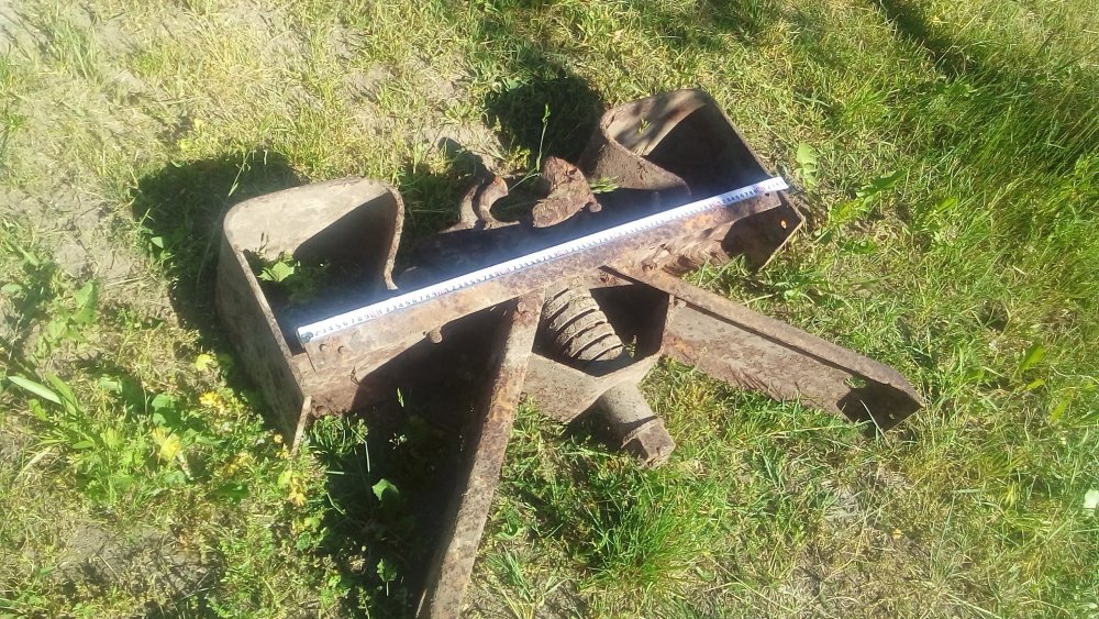 20190605_095042 (1).jpg