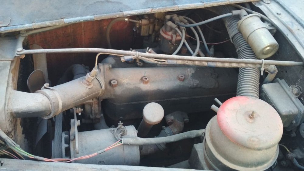 photo_2021-03-25_16-49-50 (4).jpg