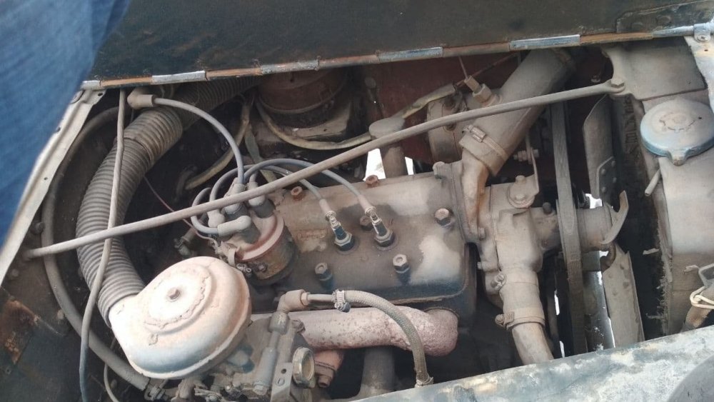 photo_2021-03-19_11-25-28 (2).jpg