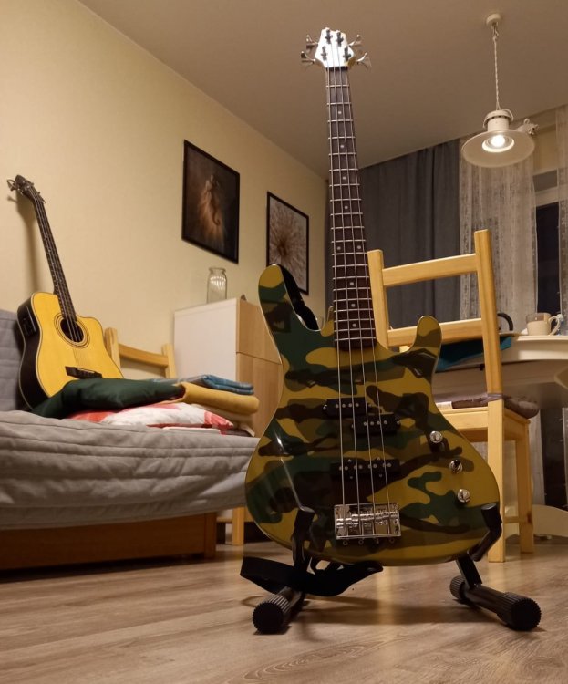 bass_new.thumb.jpg.a2812ec6f16c042c6a311aa28e1ab488.jpg