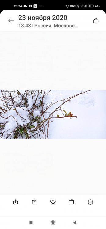 Screenshot_2021-04-08-23-24-00-381_com.miui.gallery.jpg