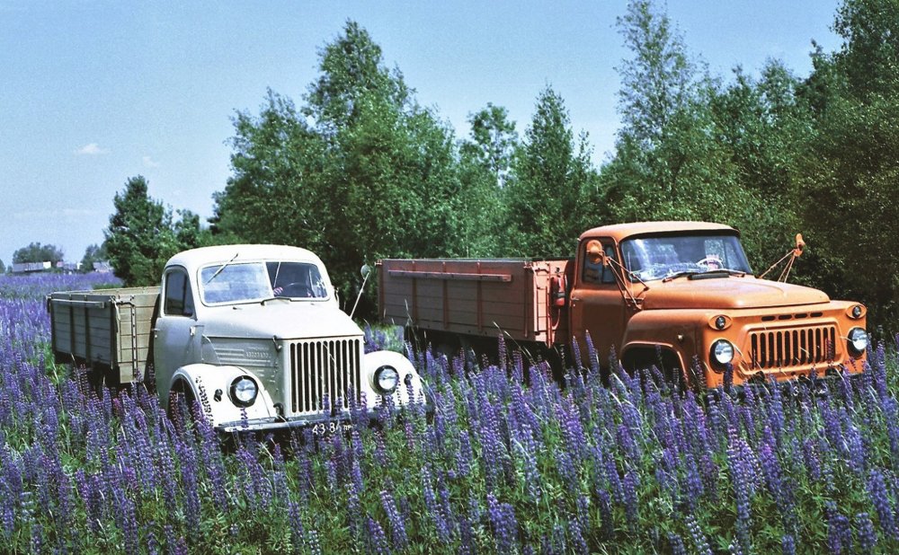 DrneeSMWwAAb8PI.jpg large.jpg