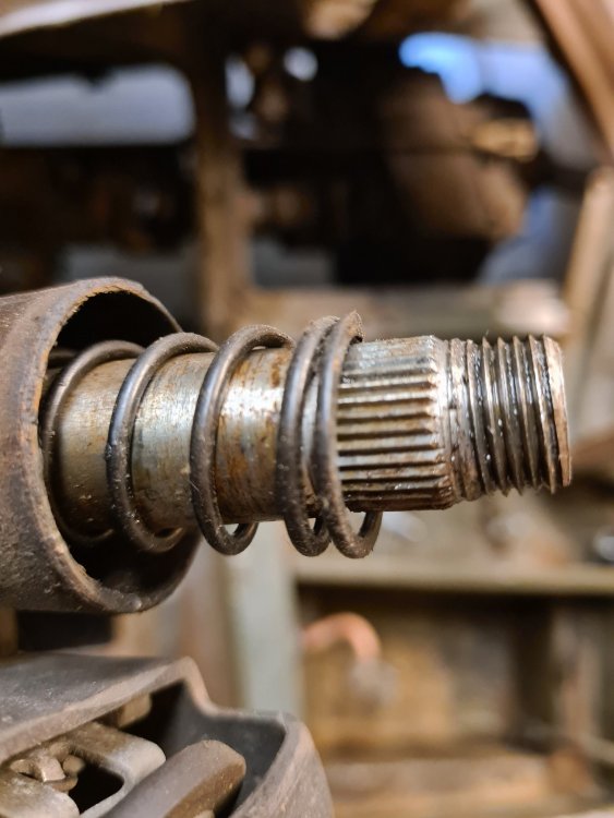 20210703_194548 small.jpg