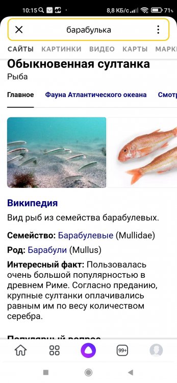 Screenshot_2021-09-28-10-15-42-256_ru.yandex.searchplugin.jpg