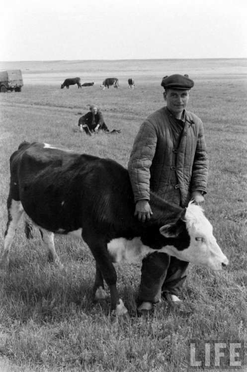 Кустанайская область.jpg