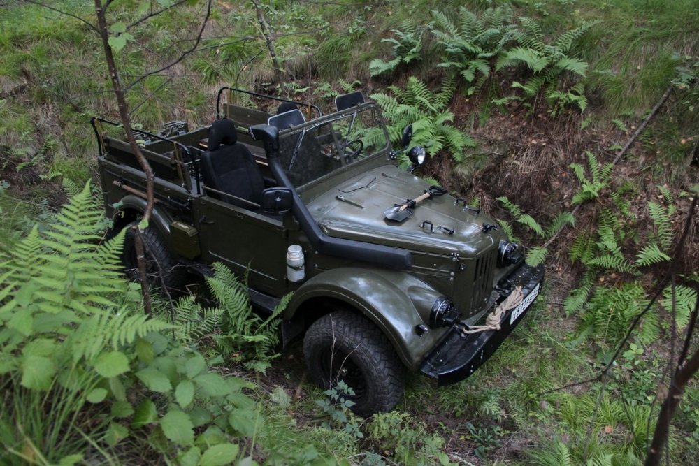 Колосок 146б-.JPG