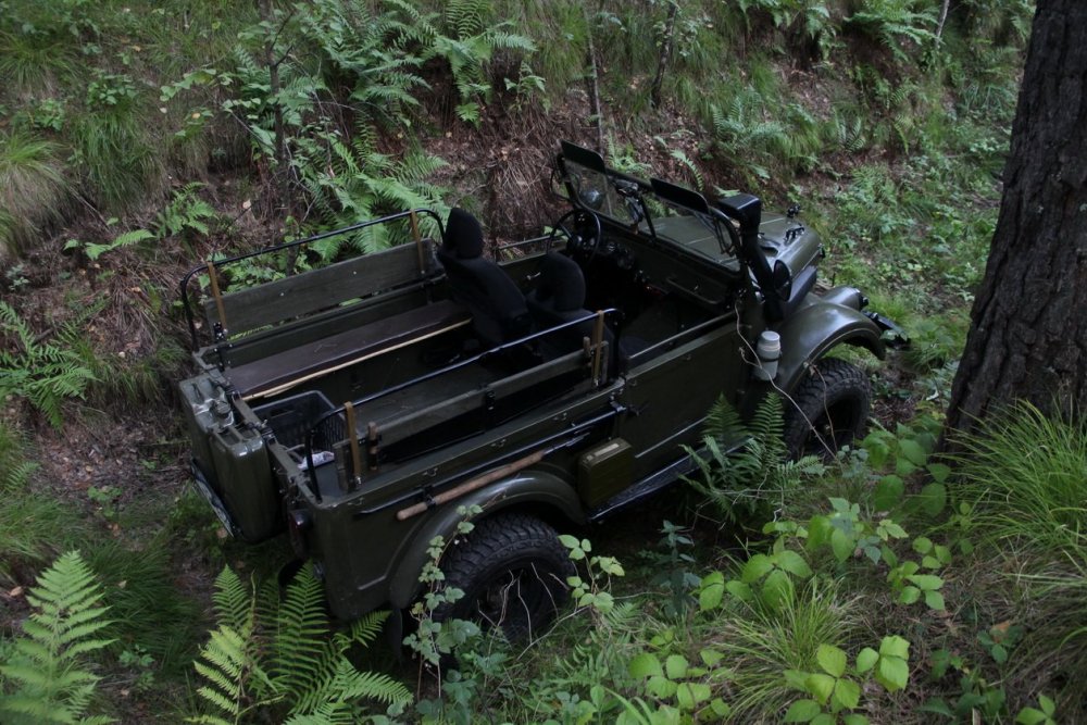 Колосок 143б-.JPG