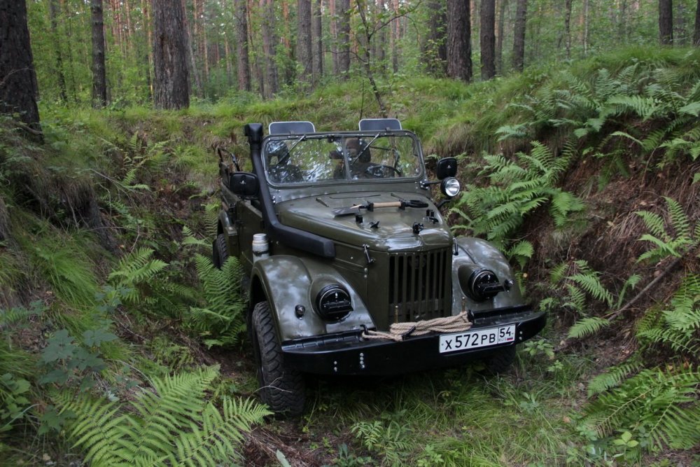 Колосок 148б-.JPG