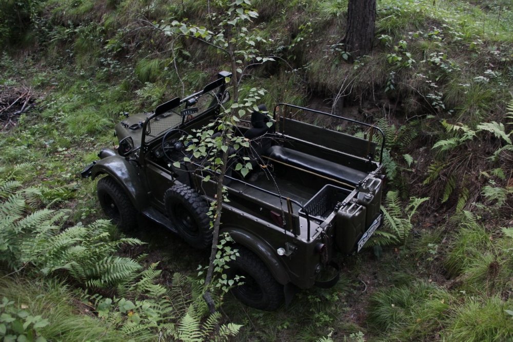 Колосок 141б-.JPG