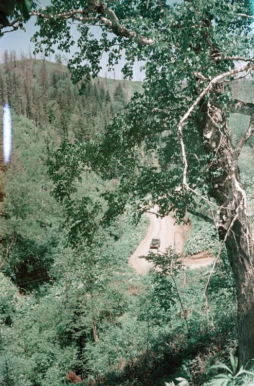 Южно-Сахалинск. Дорога возле города.jpg