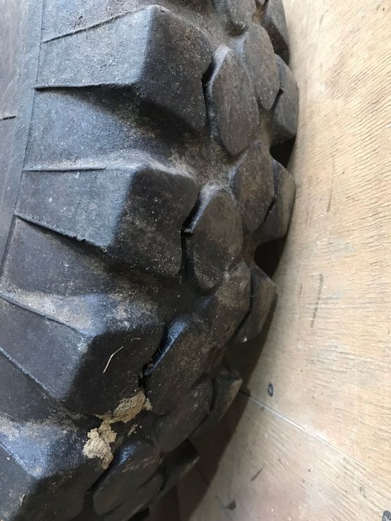 WhatsApp Image 2022-05-23 at 22.55.04.jpeg