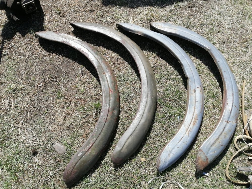 крылья задние2.jpg