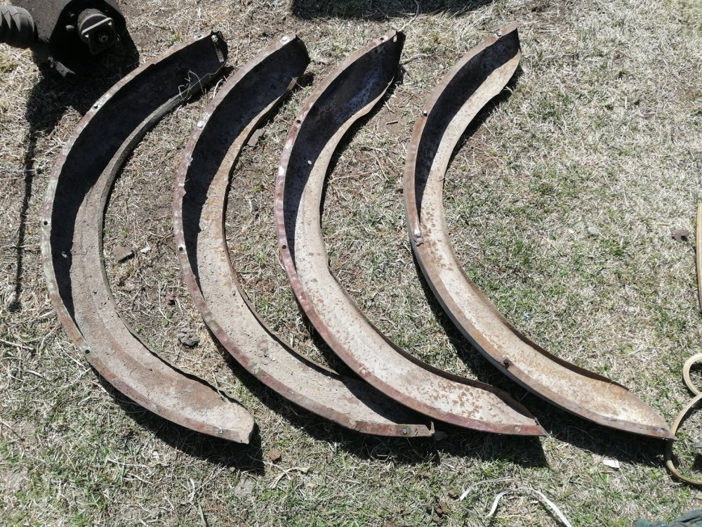 крылья задние1.jpg