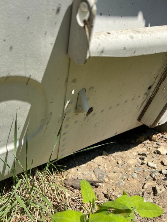 WhatsApp Image 2022-05-23 at 18.43.52.jpeg