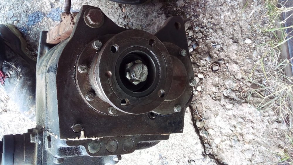 WhatsApp Image 2022-07-15 at 14.32.07.jpeg