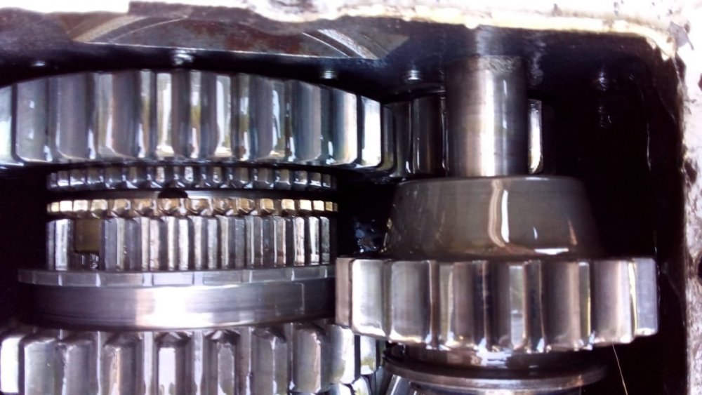 WhatsApp Image 2022-07-27 at 14.37.58.jpeg